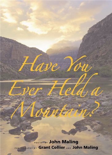 Cover for Have You Ever Held a Mountain?