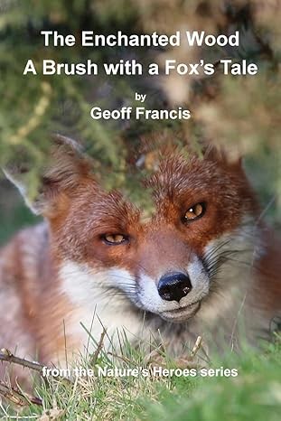 Cover for Enchanted Wood - Brush of a Fox's Tale