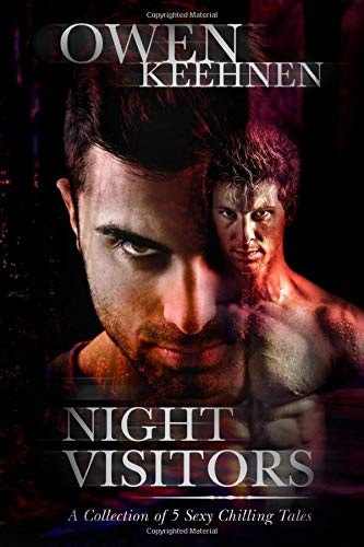 Cover for Night Visitors