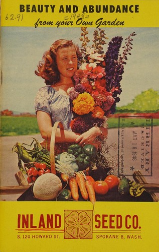 Cover for Beauty and abundance from your own garden