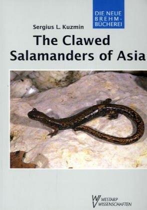 Cover for The clawed salamanders of Asia (genus Onychodactylus)