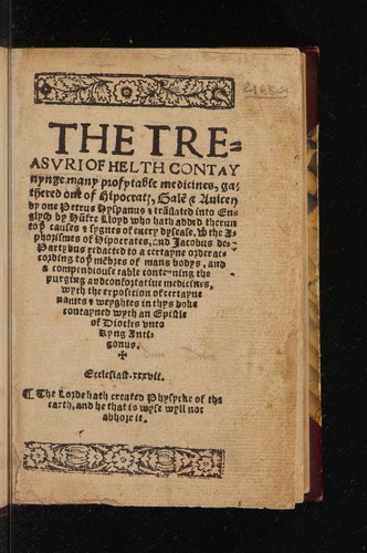 Cover for The treasuri of helth