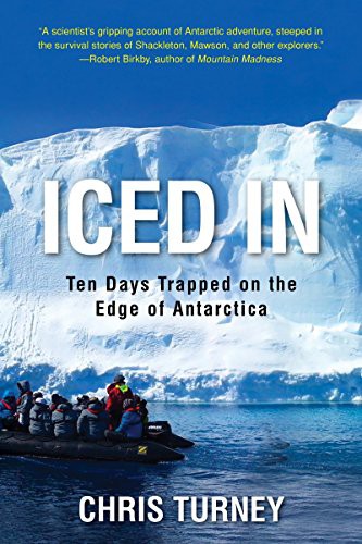 Cover for Iced In