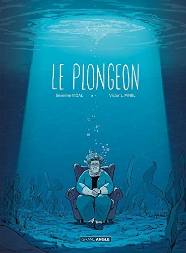Cover for Le plongeon - histoire complète