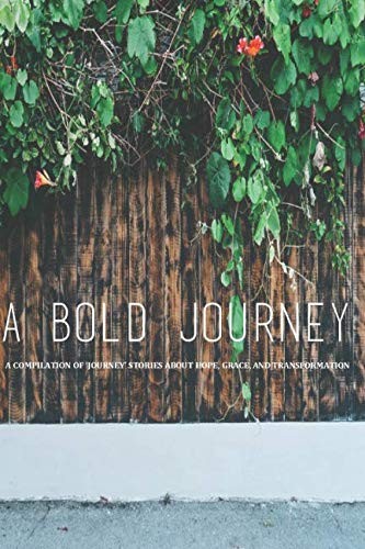 Cover for Bold Journey