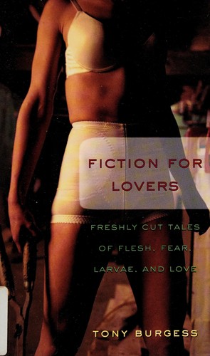 Cover for Fiction for Lovers