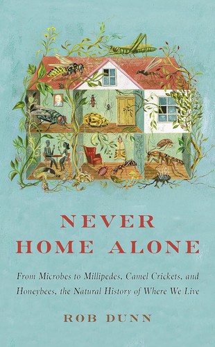 Cover for Never home alone