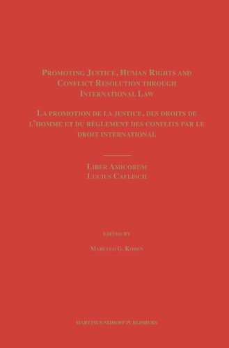 Cover for Promoting justice, human rights and conflict resolution through international law