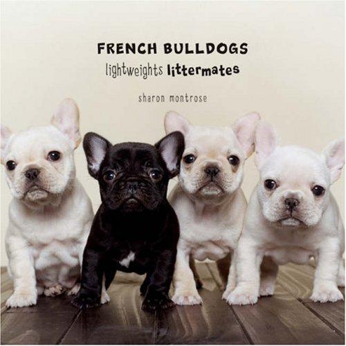 Cover for French Bulldogs