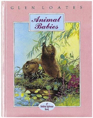 Cover for Animal Babies