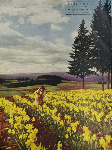 Cover for Lagomarsino's 1946 fall bulb book