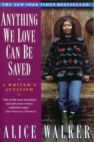 Cover for Anything we love can be saved