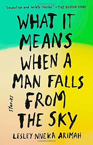 Cover for What It Means When a Man Falls from the Sky