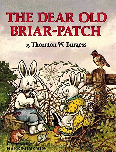 Cover for The dear Old Briar-patch