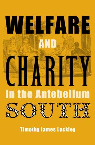 Cover for Welfare and Charity in the Antebellum South (New Perspectives on the History of the South)