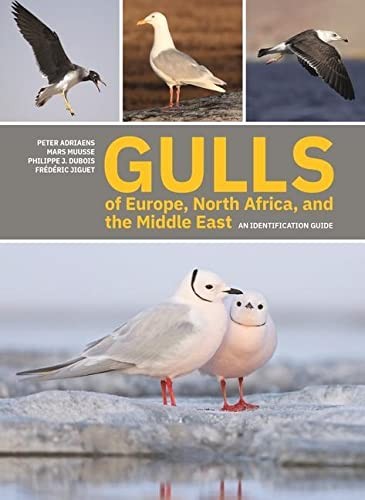 Cover for Gulls of Europe, North Africa, and the Middle East