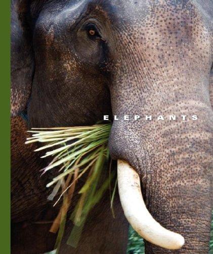Cover for Elephants (World of Mammals)