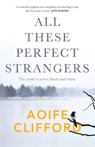 Cover for All These Perfect Strangers