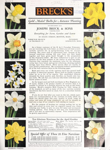 Cover for Breck's gold medal bulbs for autumn planting