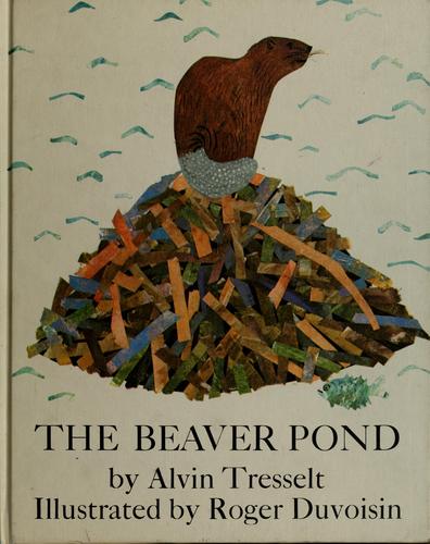 Cover for The beaver pond