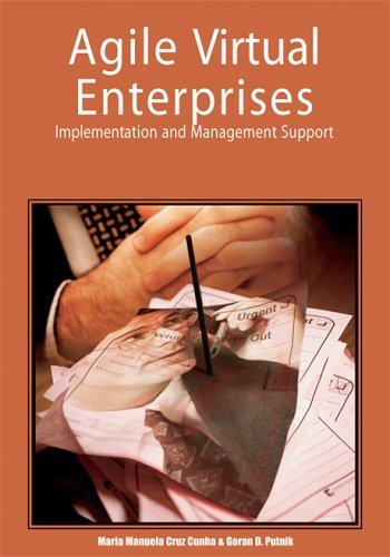 Cover for Agile Virtual Enterprises