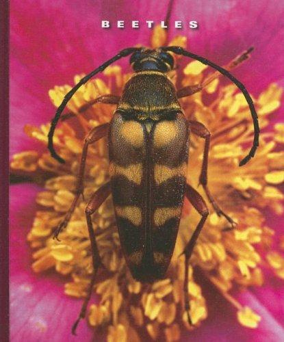 Cover for Beetles (The World of Insects)