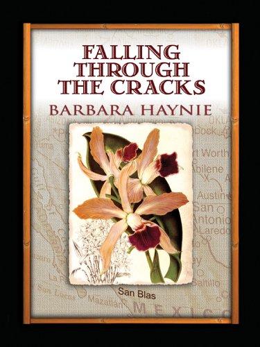 Cover for Falling through the cracks