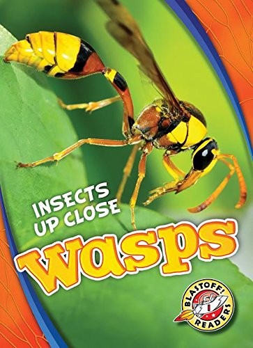Cover for Wasps