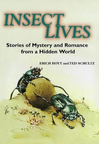 Cover for Insect lives