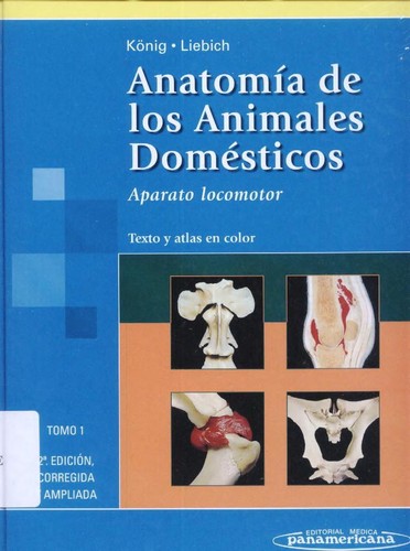 Cover for Anatomia De Los Animales Domesticos/ Anatomy of the Domestic Animals