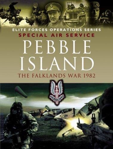 Cover for PEBBLE ISLAND