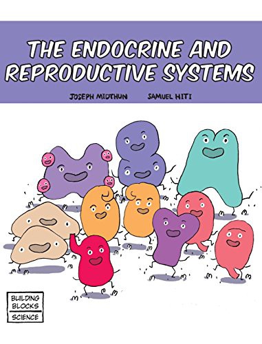 Cover for The Endocrine and Reproductive Systems