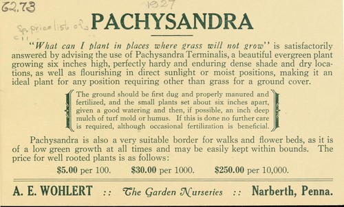 Cover for Pachysandra