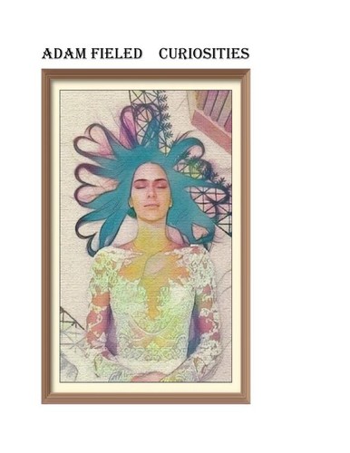 Cover for Curiosities