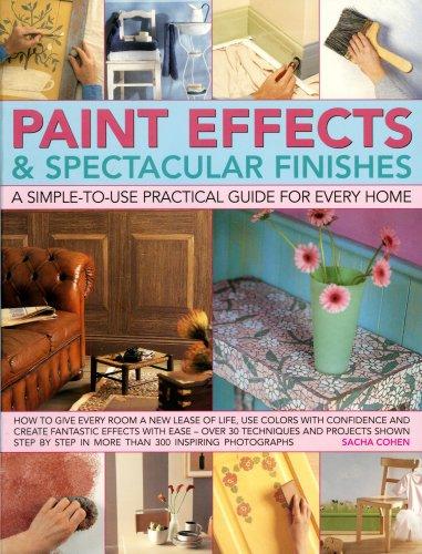 Cover for Paint Effects & Spectacular Finishes: a simple-to-use prac guide for every home