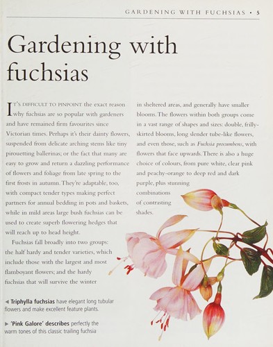 Cover for Fuschias