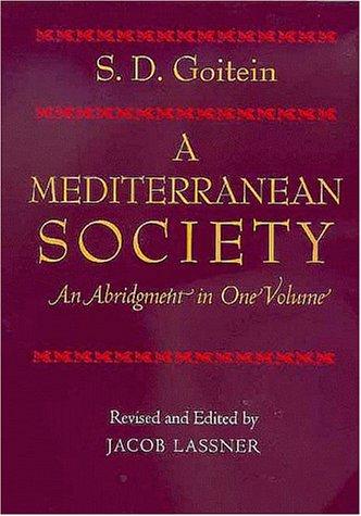 Cover for A Mediterranean Society