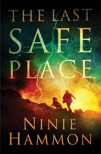 Cover for The Last Safe Place