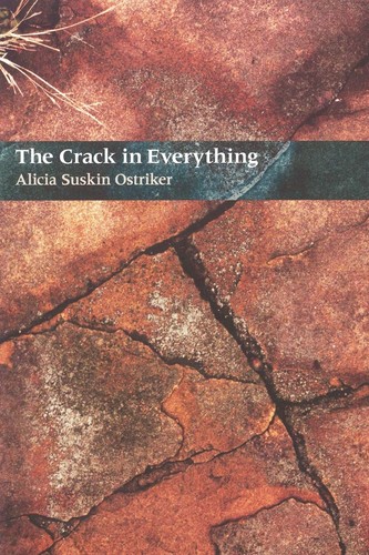 Cover for The Crack In Everything