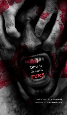 Cover for Fury