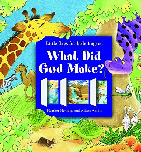 Cover for What Did God Make?