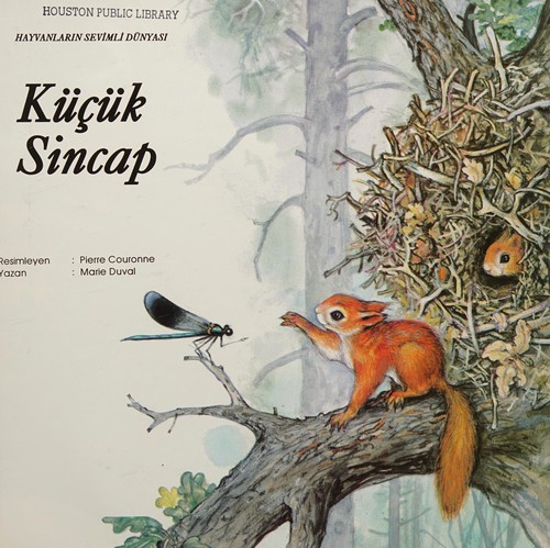 Cover for Küçük sincap