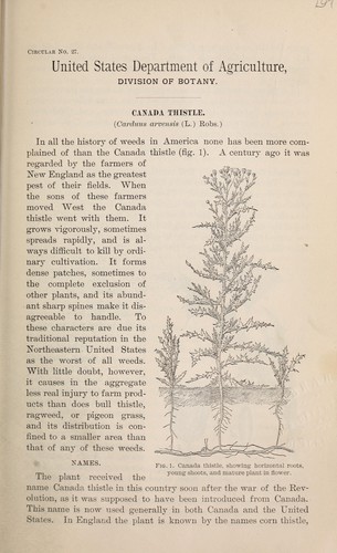 Cover for Canada thistle (Carduus arvensis (L.) Robs.).