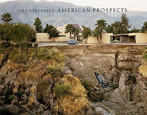 Cover for Joel Sternfeld
