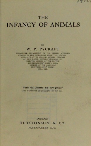 Cover for The infancy of animals