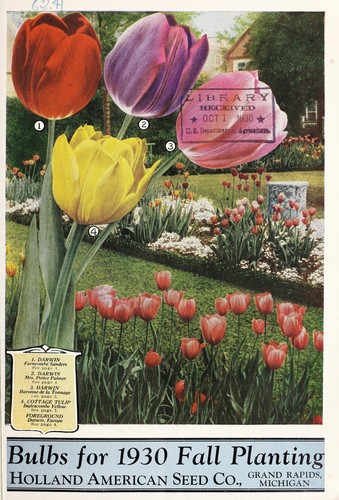 Cover for Bulbs for 1930 fall planting [catalog]