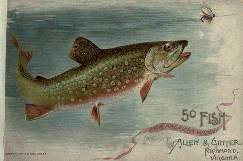 Cover for 50 fish from American waters.