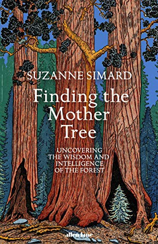 Cover for Finding the Mother Tree