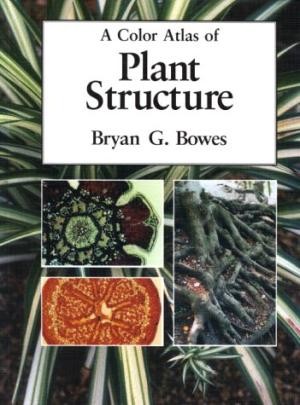 Cover for A color atlas of plant structure