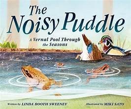 Cover for Noisy Puddle